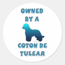 Possédé par un coton de Tulear Autocollants Ronds