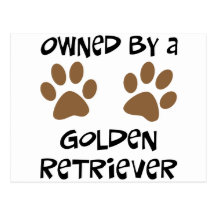 Possédé par un golden retriever cartes postales