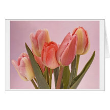 postcard en rose vif tulips cartes de vœux