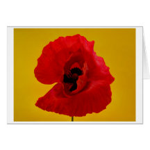 postcard poppy carte de vœux