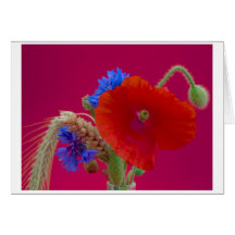 postcard poppy cartes de vœux