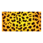 Poster de animal de Starburst Cartes Avec Photo