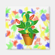 Pot avec le plante rouge et jaune de poivre aimant pour réfrigérateur