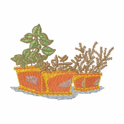 Pots de terre cuite avec des herbes