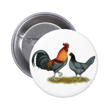 Poule de bleu du Delaware Badges