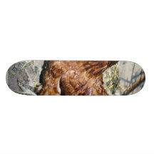 Poule de Brown sur l'arrière cour Plateau De Skate