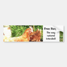 Poules libres de chaîne de soutien adhésifs pour voiture