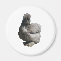 Poulet bleu pelucheux mignon de Silkie Magnets Pour Réfrigérateur