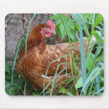Poulet dans l'herbe Mousepad Tapis De Souris