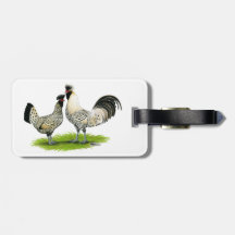 Poulets crèmes de Brabanter