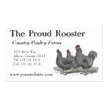 Poulets de Plymouth Rock, coq Cartes De Visite Personnelles