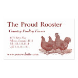 Poulets de Plymouth Rock, coq Modèle De Carte De Visite