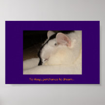 Pour dormir, rêver peut-être… posters