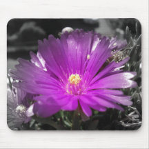 Pourpier Tapis De Souris