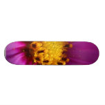 Pourpre de fleur planche à roulette