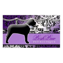 Pourpre snob de l'animal familier 311 cartes de visite
