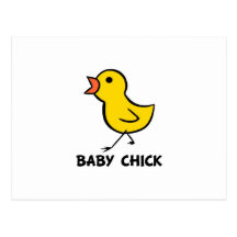 Poussin de bébé cartes postales