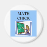 POUSSIN DE MATHS AIMANTS