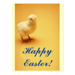 Poussin jaune mignon Joyeuses Pâques de bébé ! Cartes Postales