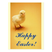 Poussin jaune mignon Joyeuses Pâques de bébé ! Cartes Postales
