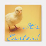 Poussin jaune mignon Joyeuses Pâques de bébé ! Magnets Pour Réfrigérateur