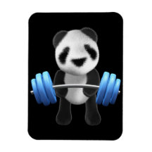 Powerlifter mignon d'ours panda de bébé dans 3d (e magnet souple