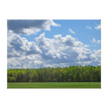 Prairie de Manitoba Toiles Tendues Sur Châssis