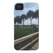 Prairie de paynes de Micanopy Coques iPhone 4 Case-Mate