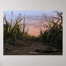 prairie affiche
