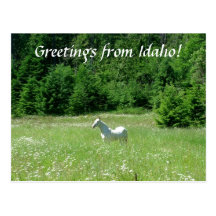 Pré de l'Idaho - carte postale