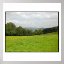 Pré vert. Paysage de campagne Poster