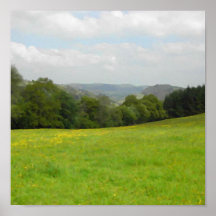 Pré vert. Paysage de campagne Posters