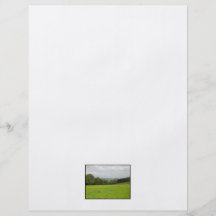 Pré vert. Paysage de campagne Prospectus