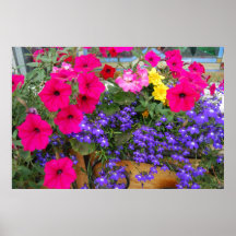 Prenez du temps d'arrêter et sentir les fleurs affiches