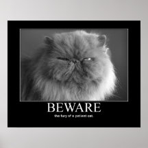 Prenez garde de la fureur d'une illustration patie poster