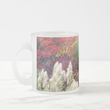 Préservation de la nature de Tifft - feuillage d'a Tasse