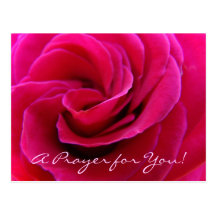 Prière pour vous ! cartes de spirale de rose de ro