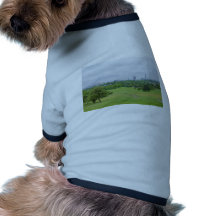 Primrose Hill London Pet Tee Shirt