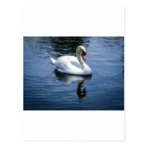 Prince charme cartes postales