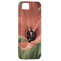 prise le ressort coques case-mate