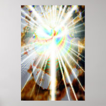 PRISMA infini 1.1a Posters