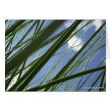 Prisme d'herbe - carte pour notes