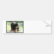 Produit de personnaliser adhésifs pour voiture