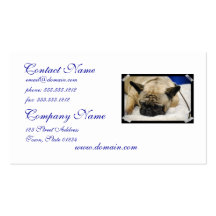 Produit de personnaliser carte de visite