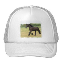 Produit de personnaliser casquette de camionneur