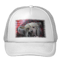 Produit de personnaliser casquettes
