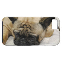 Produit de personnaliser étuis iPhone 5
