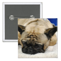 Produit de personnaliser pin's avec agrafe