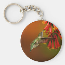Produits de colibri porte-clef