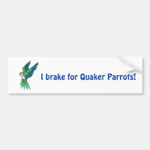 Produits de perroquet de quaker adhésifs pour voiture